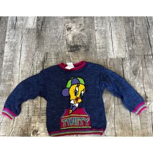 Vintage 1999 Looney Tunes Tweety Bird Knit Sweater Kids 3T Blue Pink Warner Bros